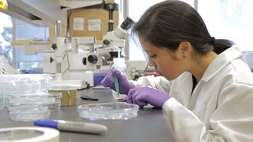 University of California health experiment lab medicine