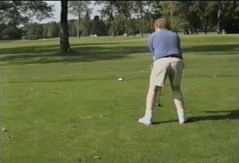 NEW GOLF GIFS Giphy