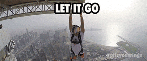 let it go fwsim let it go fwsim