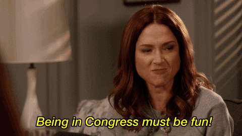 Kimmy Schmidt saying BEING IN CONGRESS MUST BE FUN