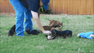 source: imgur.com