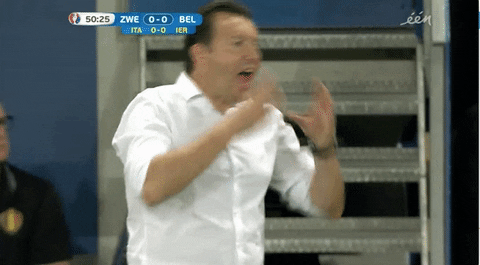 Euro 2016 GIF by Sporza - Find & Share on GIPHY