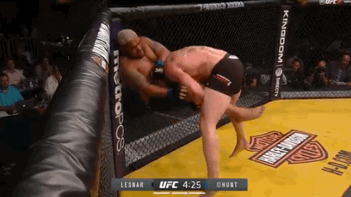 Ufc GIF - Find & Share on GIPHY