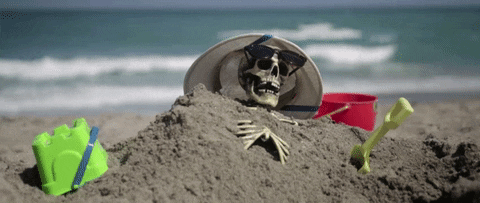 Joyful Noise Recordings beach dead ocean skeleton