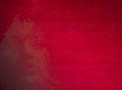 Se le anime fossero colorate la tua di che colore sarebbe