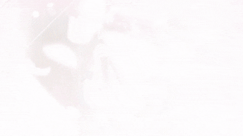 giphy.gif