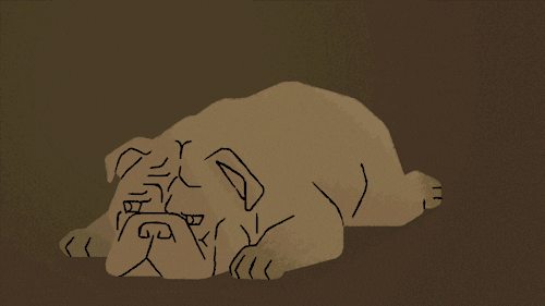 Climb GIFs Get The Best GIF On GIPHY