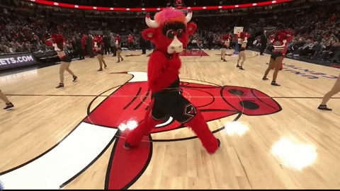 Benny The Bull Bulls Mascot GIF by Chicago Bulls - Find & Share on GIPHY