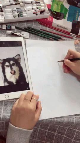 Ultra Real 3D Art in funny gifs