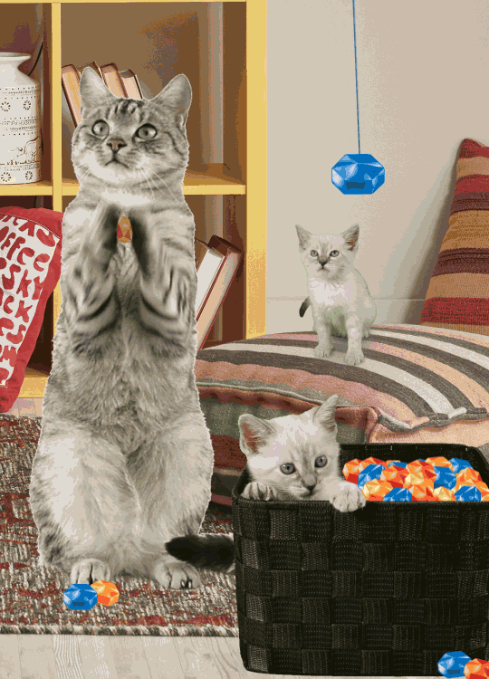 Cat Playing GIF Find & Share on GIPHY