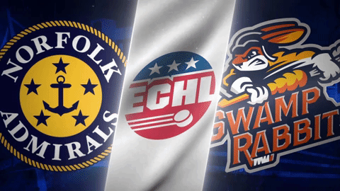 Admirals GIF by Greenville Swamp Rabbits