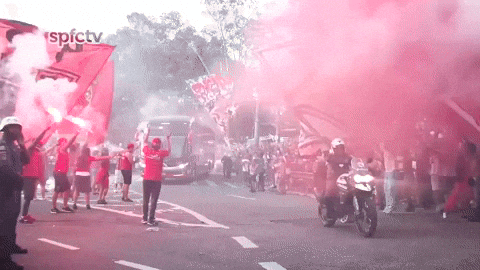 Spfc GIF by São Paulo FC