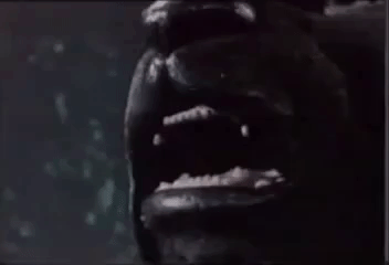 https://media.giphy.com/media/l4EoQZGRiv79rvk3u/giphy.gif