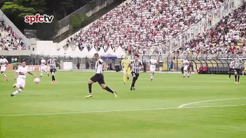Spfc GIF by São Paulo FC