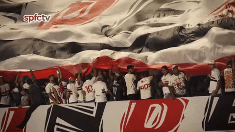 Spfc GIF by São Paulo FC