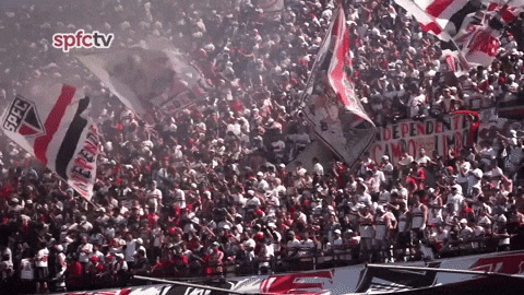 Spfc GIF by São Paulo FC