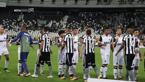 Botafogo De Futebol E Regatas GIF by Botafogo