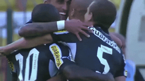 Botafogo Futebol E Regatas GIF by Botafogo