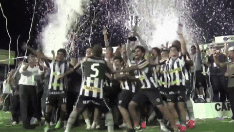 Botafogo Futebol E Regatas GIF by Botafogo