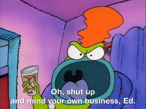 Rockos Modern Life Nicksplat GIF