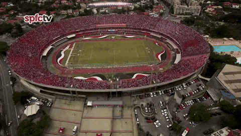 Spfc GIF by São Paulo FC