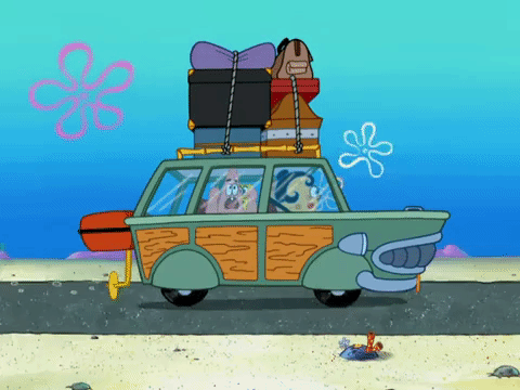 Season 8 Spongebob'S Runaway Roadtrip: A Squarepants Family Vacation GIF by SpongeBob SquarePants