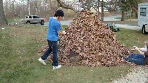 giphy.gif