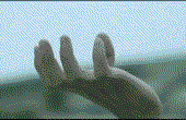 [Image: giphy.gif]