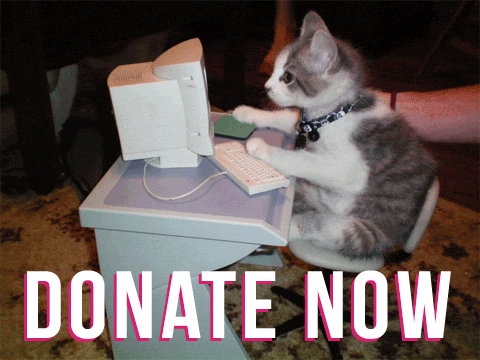 A kitten sits at a tiny desk typing on a tiny computer. Below are the words "Donate Now." 