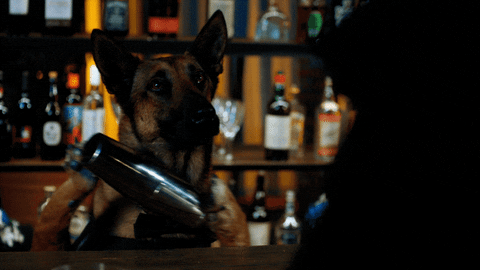 Dog Laughing GIF by Angie Tribeca