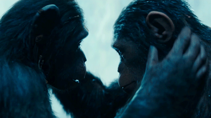 Image result for war for the planet of the apes gif