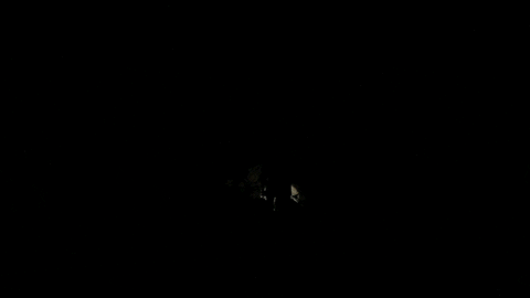 Firewood Camping GIF by J. Robinson