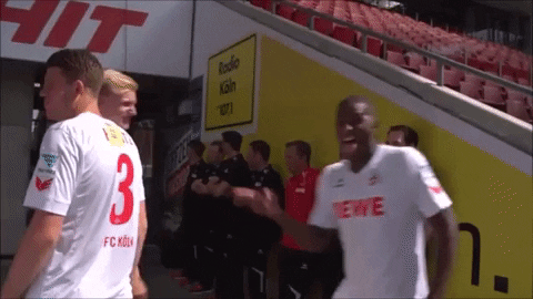 Fc Cologne GIF by 1. FC Köln