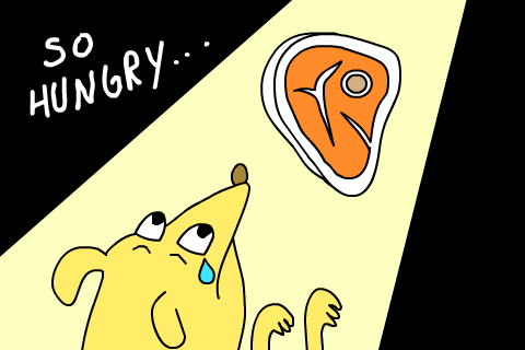 Hungry Animated Gif ~ Hungry Feed Me Sticker By Simon's Cat For Ios ...