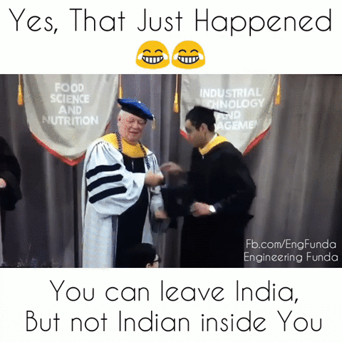 Indian Thing in funny gifs