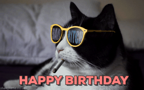 Image result for cats happy birthday gif"