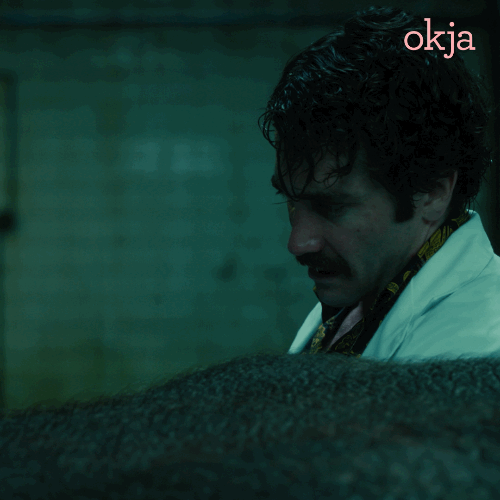 Animated GIF of Jake Gyllenhaal next to Okja with text saying "I'm an animal lover. Everyone knows that about me."