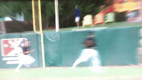 Kccougars GIF by Kane County Cougars
