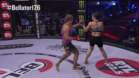 GIF by Bellator - Find & Share on GIPHY