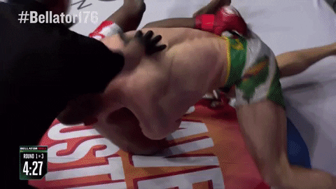 Fight Finish Him GIF by Bellator