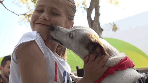 National Puppy Day Licking GIF by Miami Open - Find & Share on GIPHY