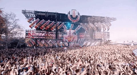 Raise Your Hands Dance GIF by Ultra Music Festival Find Share on GIPHY Raise Your Hands Dance GIF by Ultra Music Festival Find Share on GIPHY