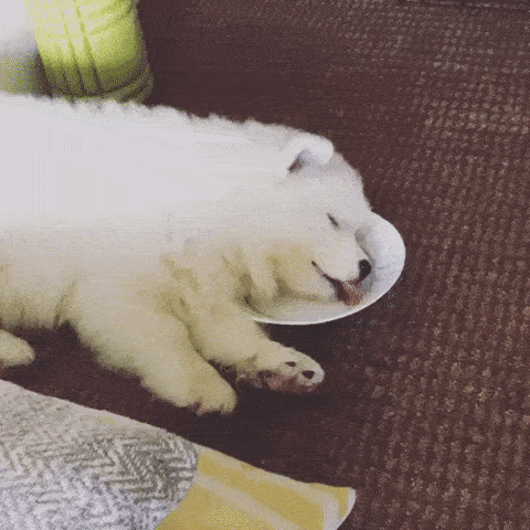 EAt And Sleep in funny gifs