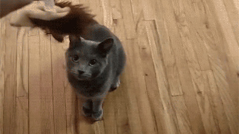 Go Away Its Mine best Gif