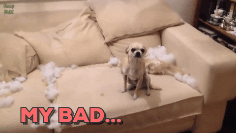 Bad Dog Oops GIF by chuber channel - Find & Share on GIPHY