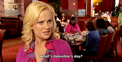 leslie knope saying what's galentine's day gif parks and recreation