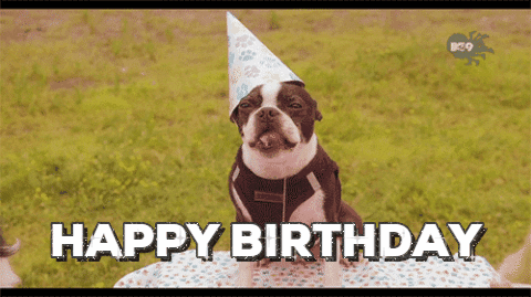 Birthday Card GIF by happybirthday  Find  Share on GIPHY