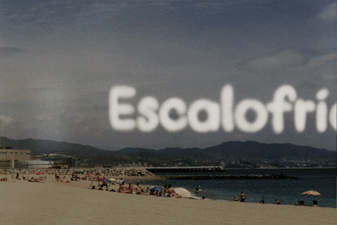 Film City GIF by Blanca Viñas