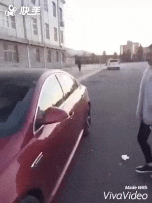 giphy-downsized-large.gif