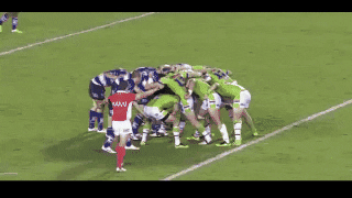 giphy.gif